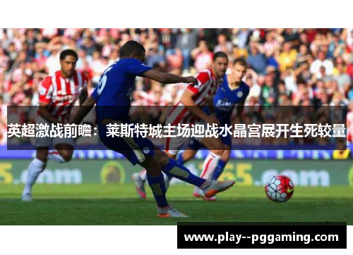 英超激战前瞻：莱斯特城主场迎战水晶宫展开生死较量