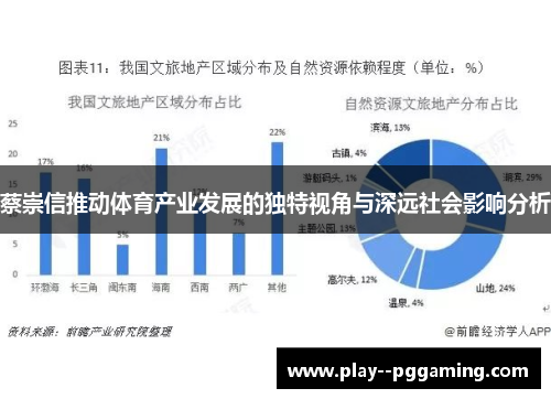 蔡崇信推动体育产业发展的独特视角与深远社会影响分析