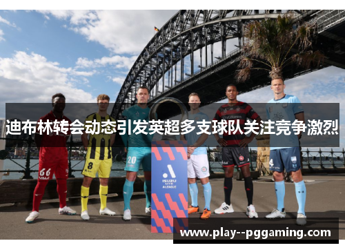 迪布林转会动态引发英超多支球队关注竞争激烈